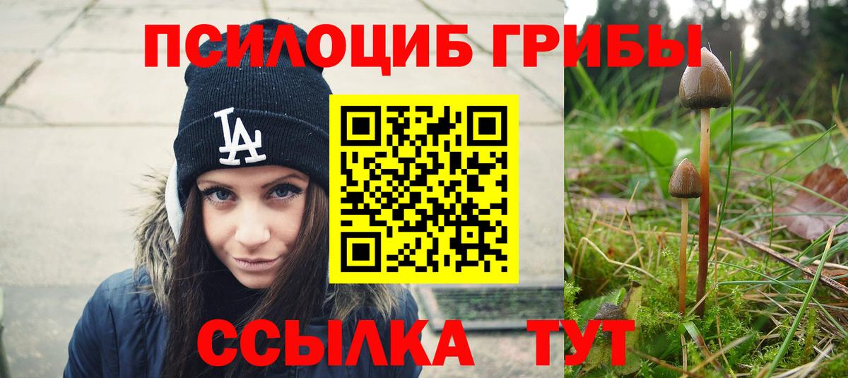 Галлюциногенные грибы мицелий  Вход с VPN  Тулун  Галлюциногенные грибы ЛСД 